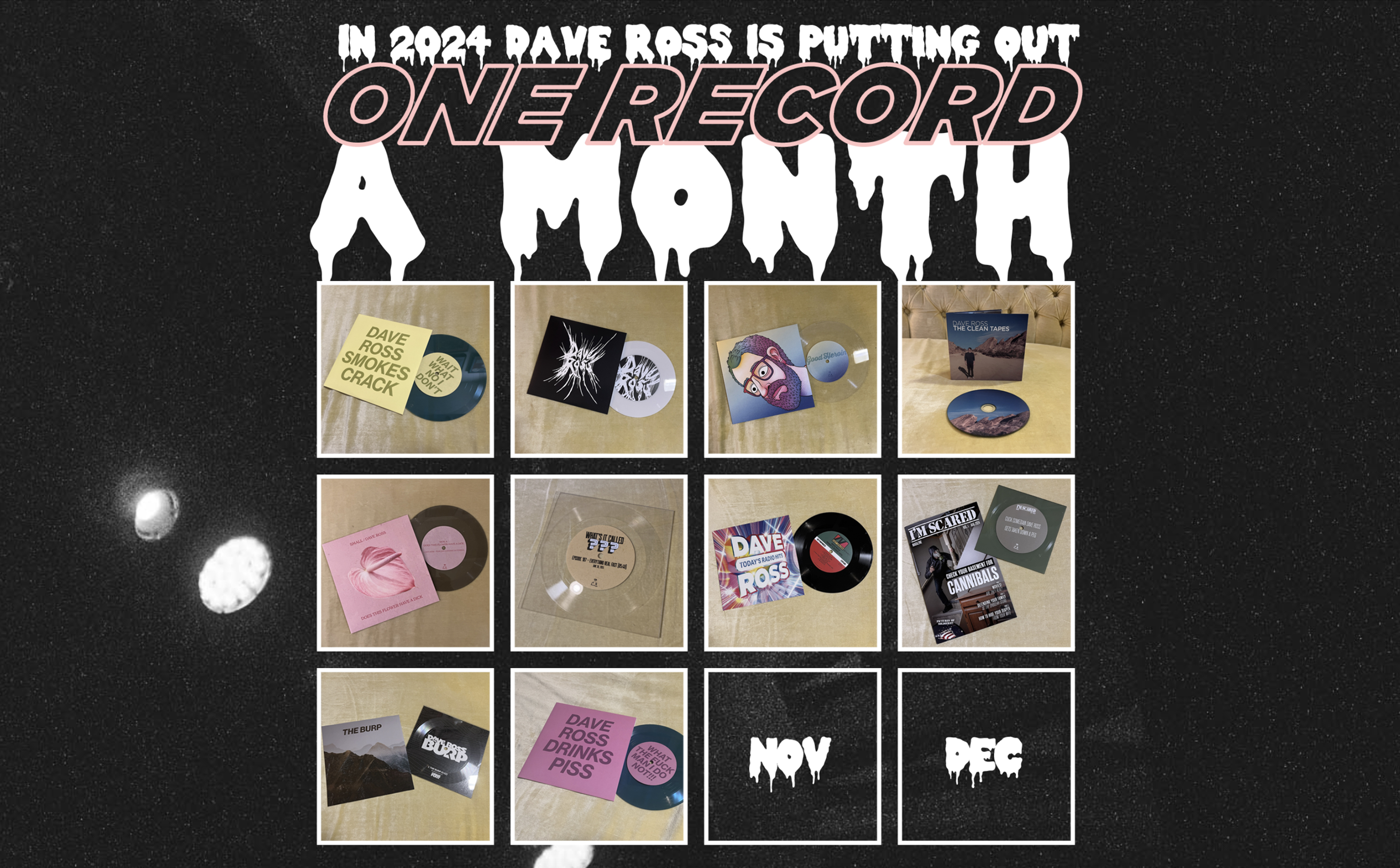 One Record A Month Website by Dave Ross